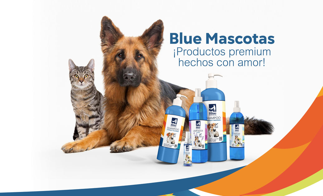 Blue Mascotas: Una Marca Colombiana Nacida del Amor y la Innovación para el Bienestar Animal