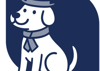 Pet Fashion