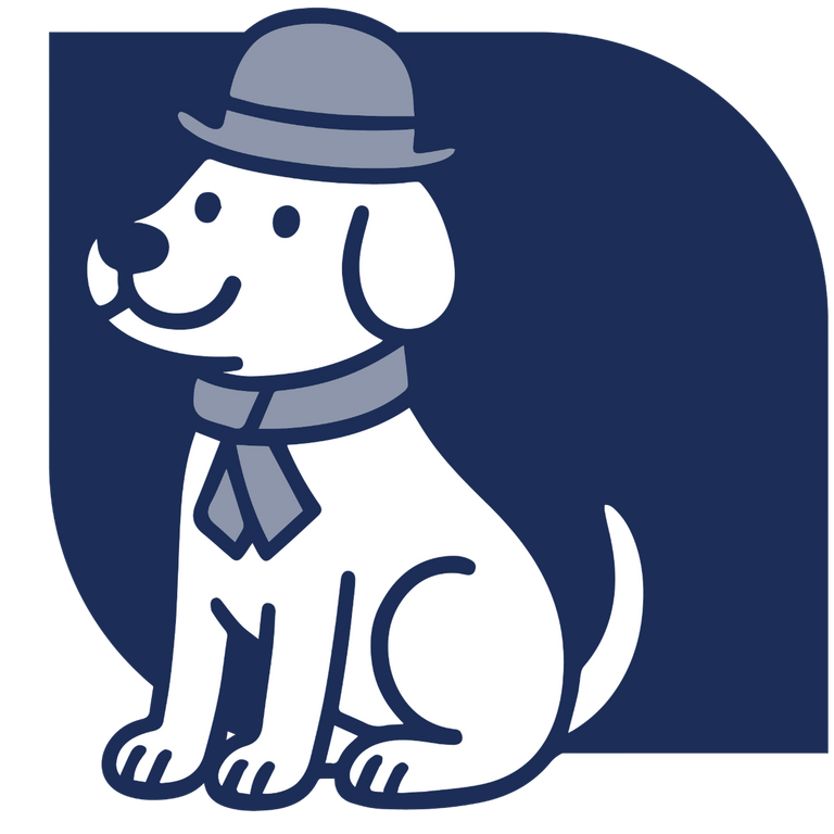 Pet Fashion