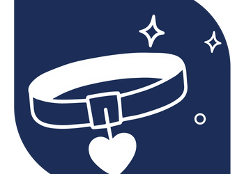 Pet accessories