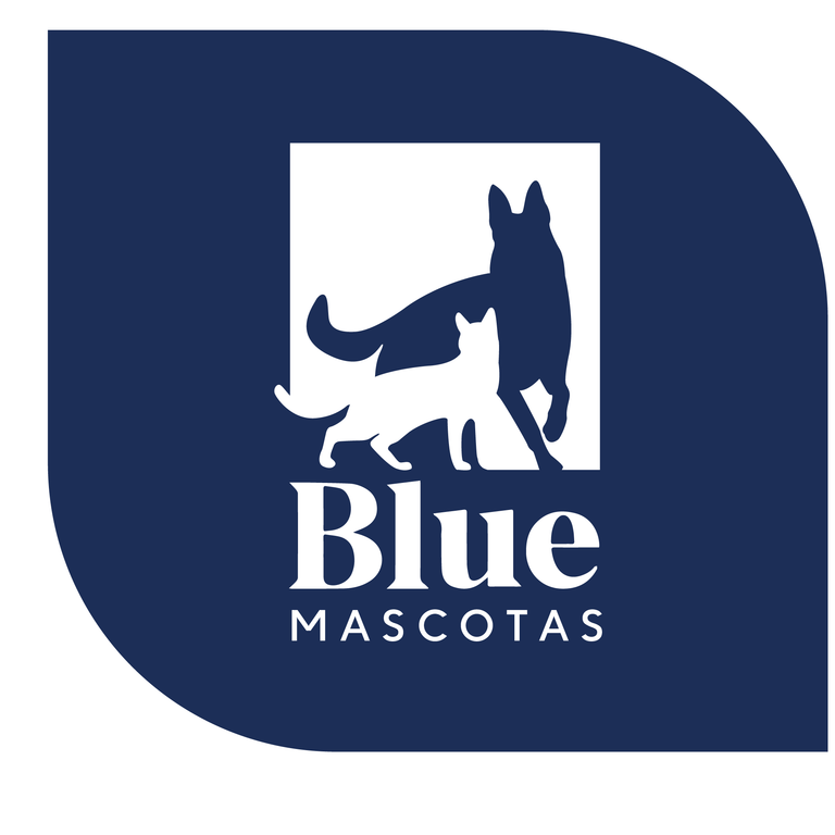 Soy Blue