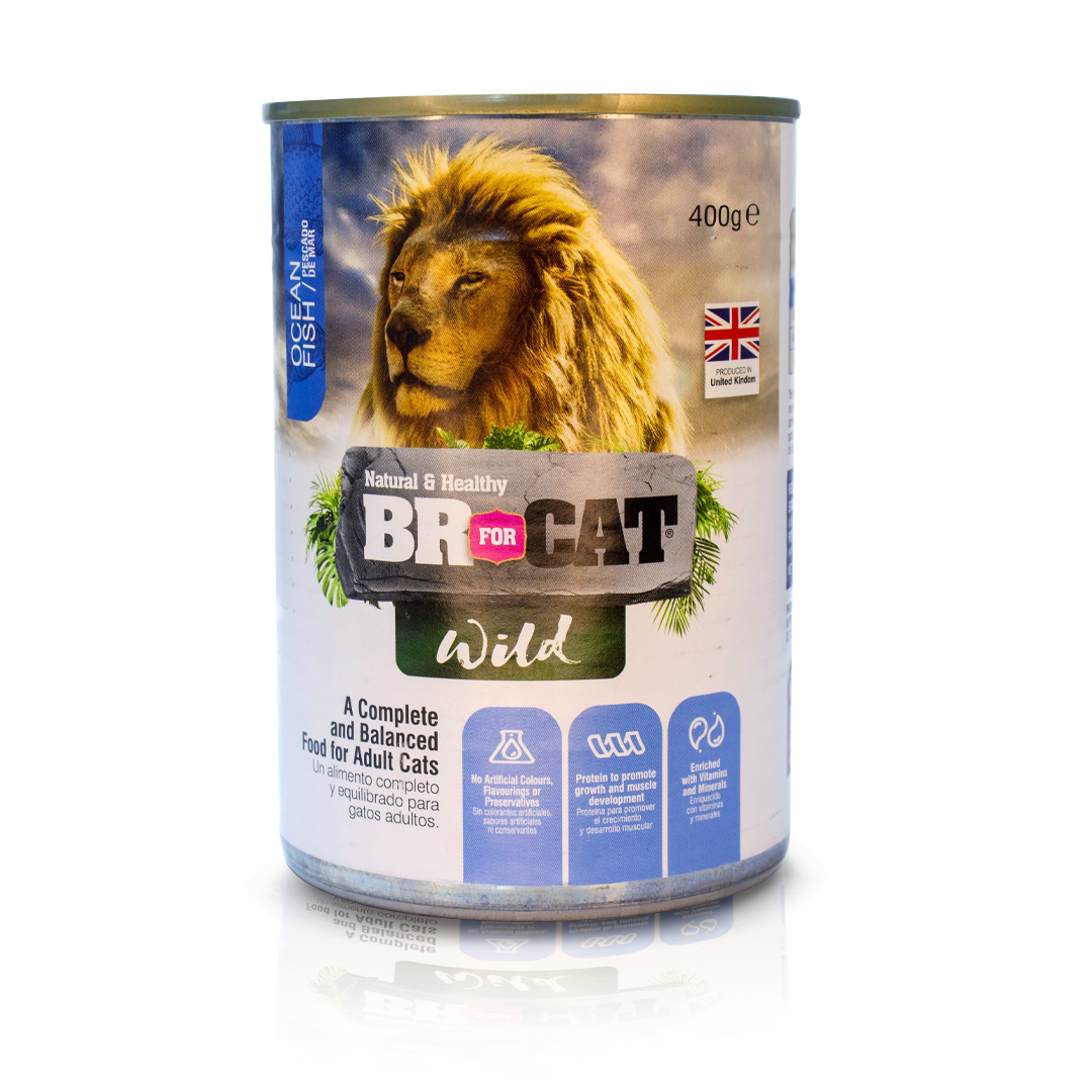 BR For Cat Wild 400 g