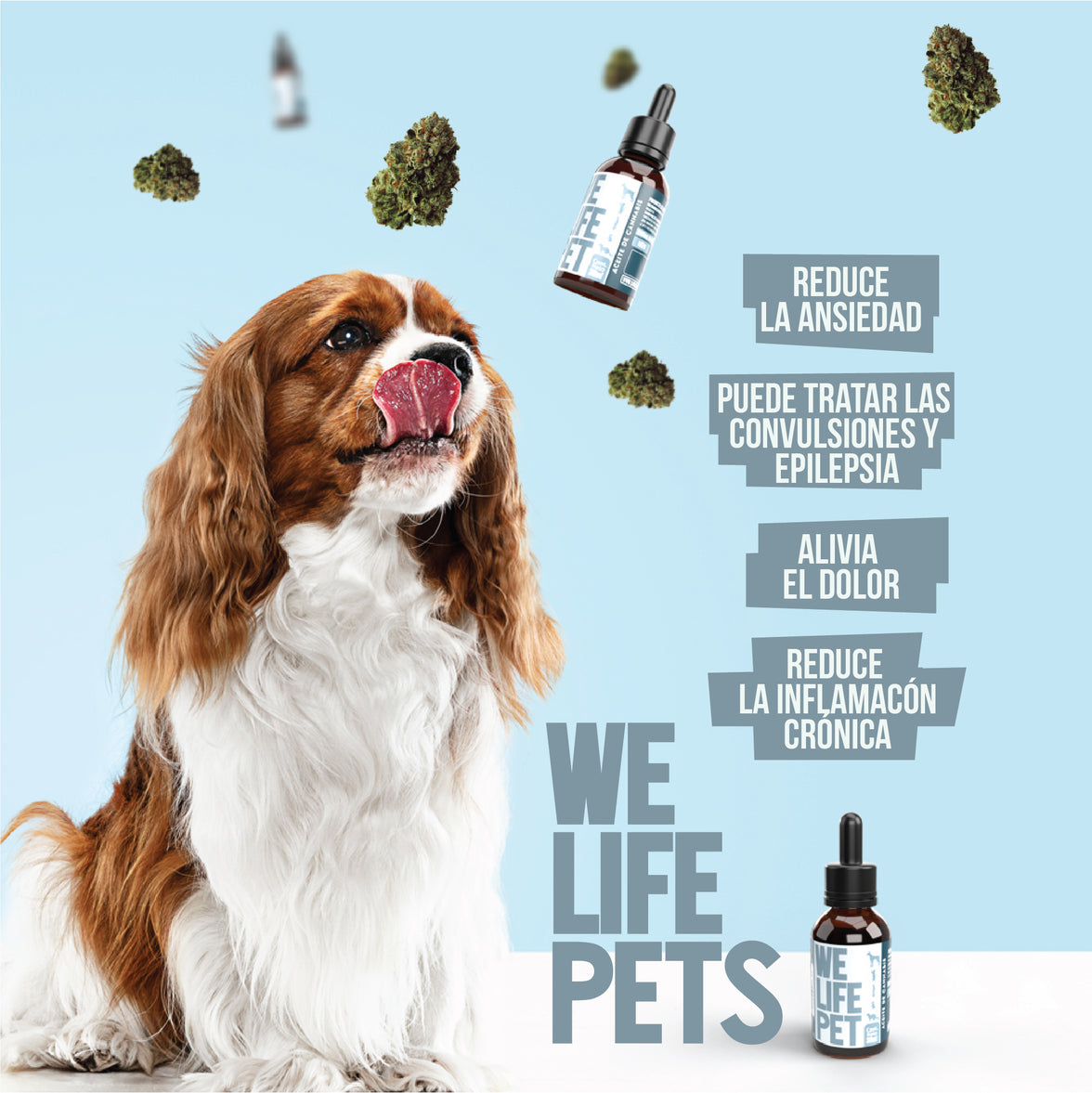 WELIFE CBD PETS 500mg