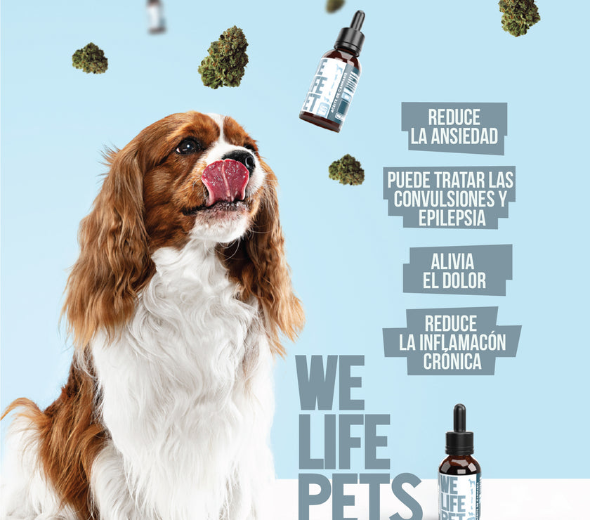WELIFE CBD PETS 500mg