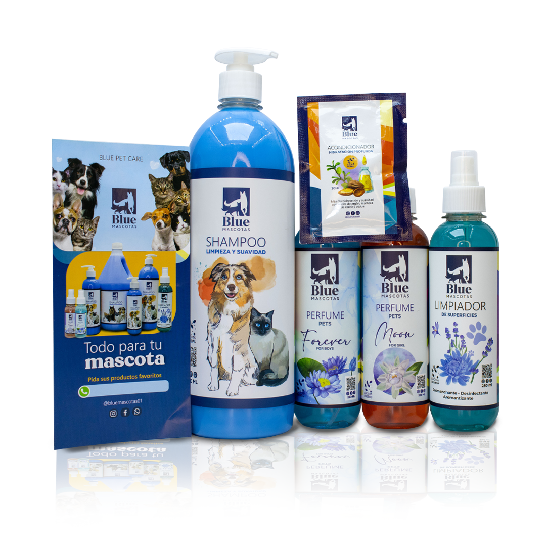 Kit Blue spa in house