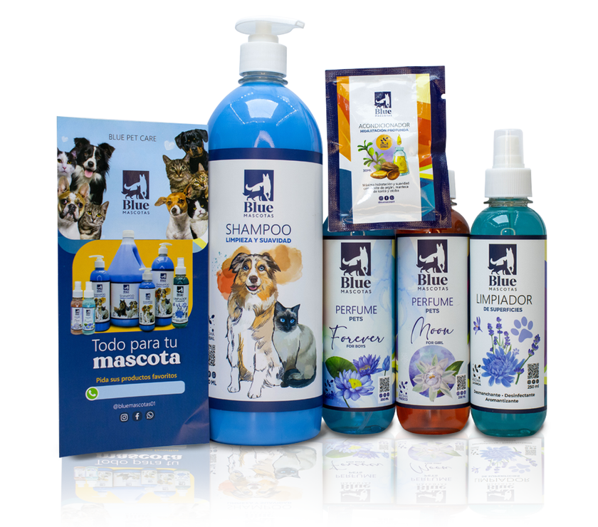 Kit Blue spa in house