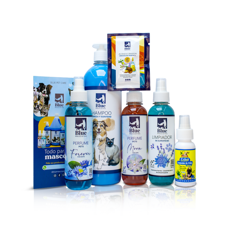 Kit Blue spa in house