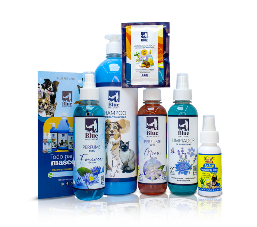 Kit Blue spa in house