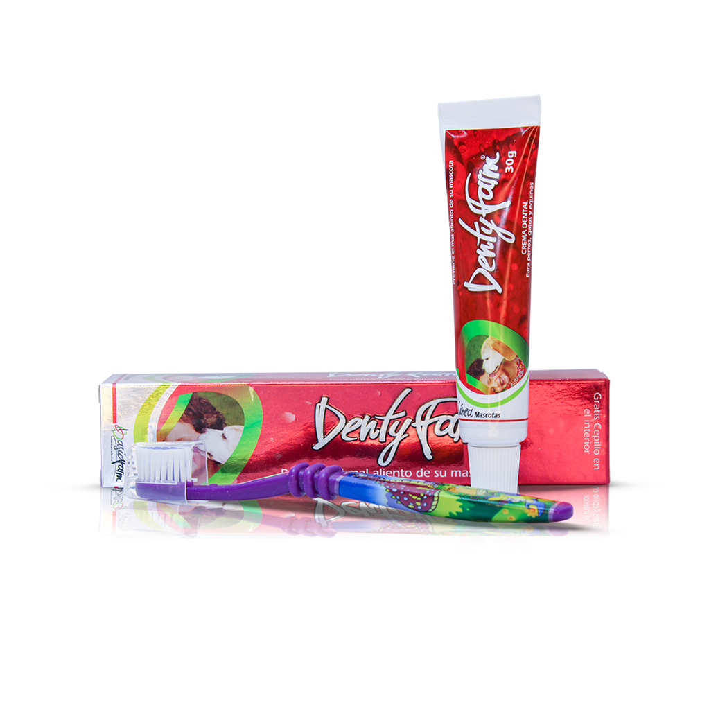 Kit Dental (Dentífrico + Cepillo)