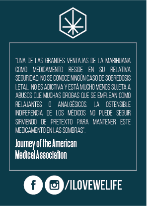 WELIFE CBD PETS 500mg