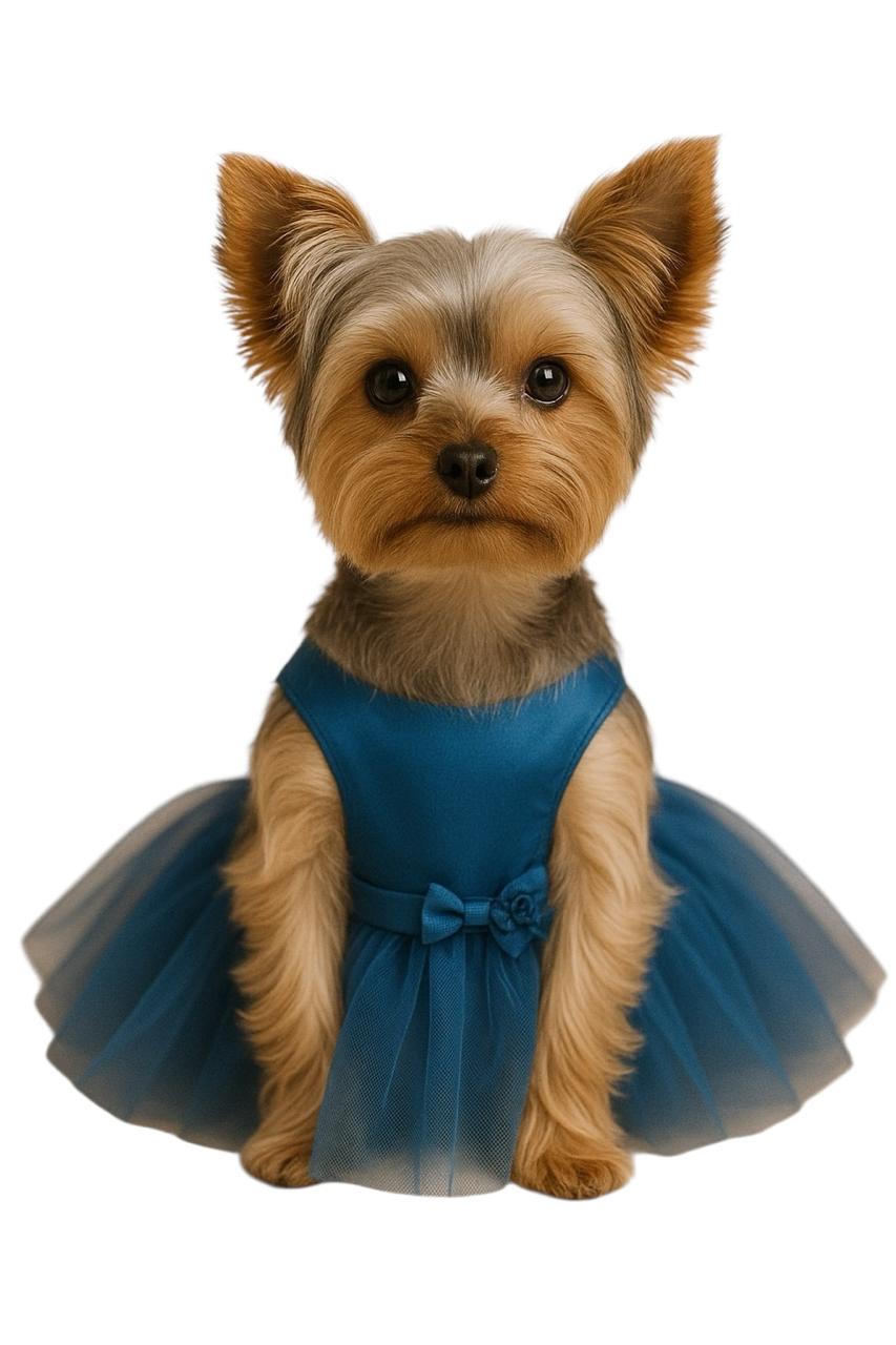 Vestido Azul Princesa para Mascotas