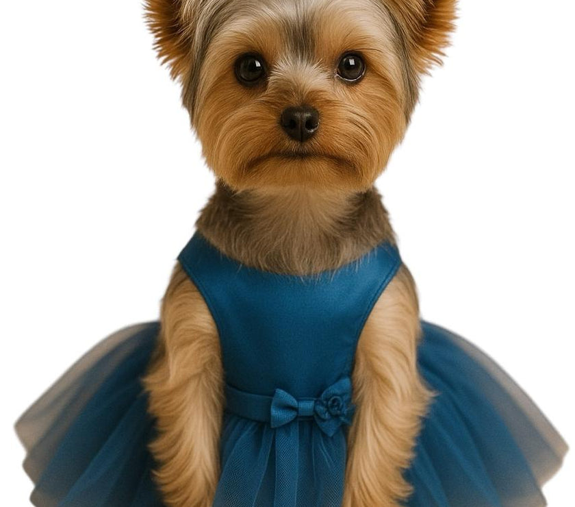 Vestido Azul Princesa para Mascotas