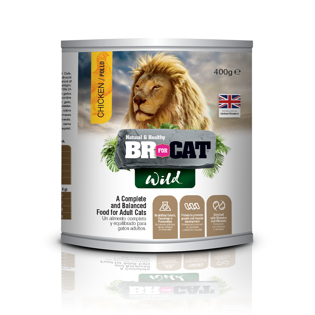 BR For Cat Wild 400 g