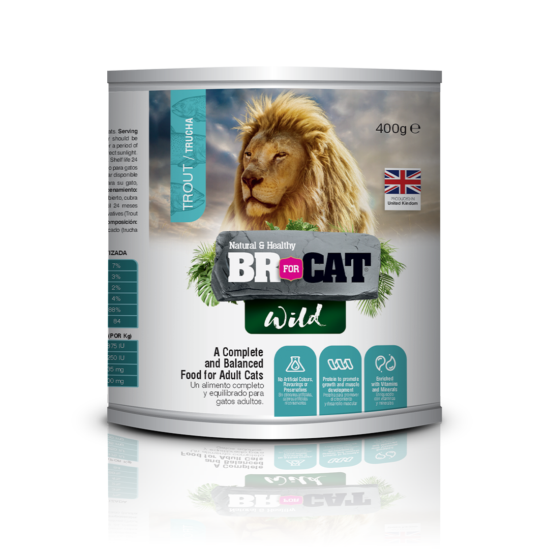 BR For Cat Wild 400 g