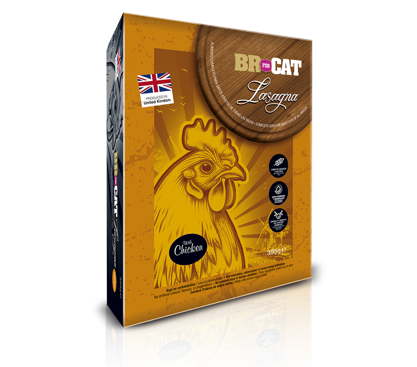 BR FOR CAT LASAGNA