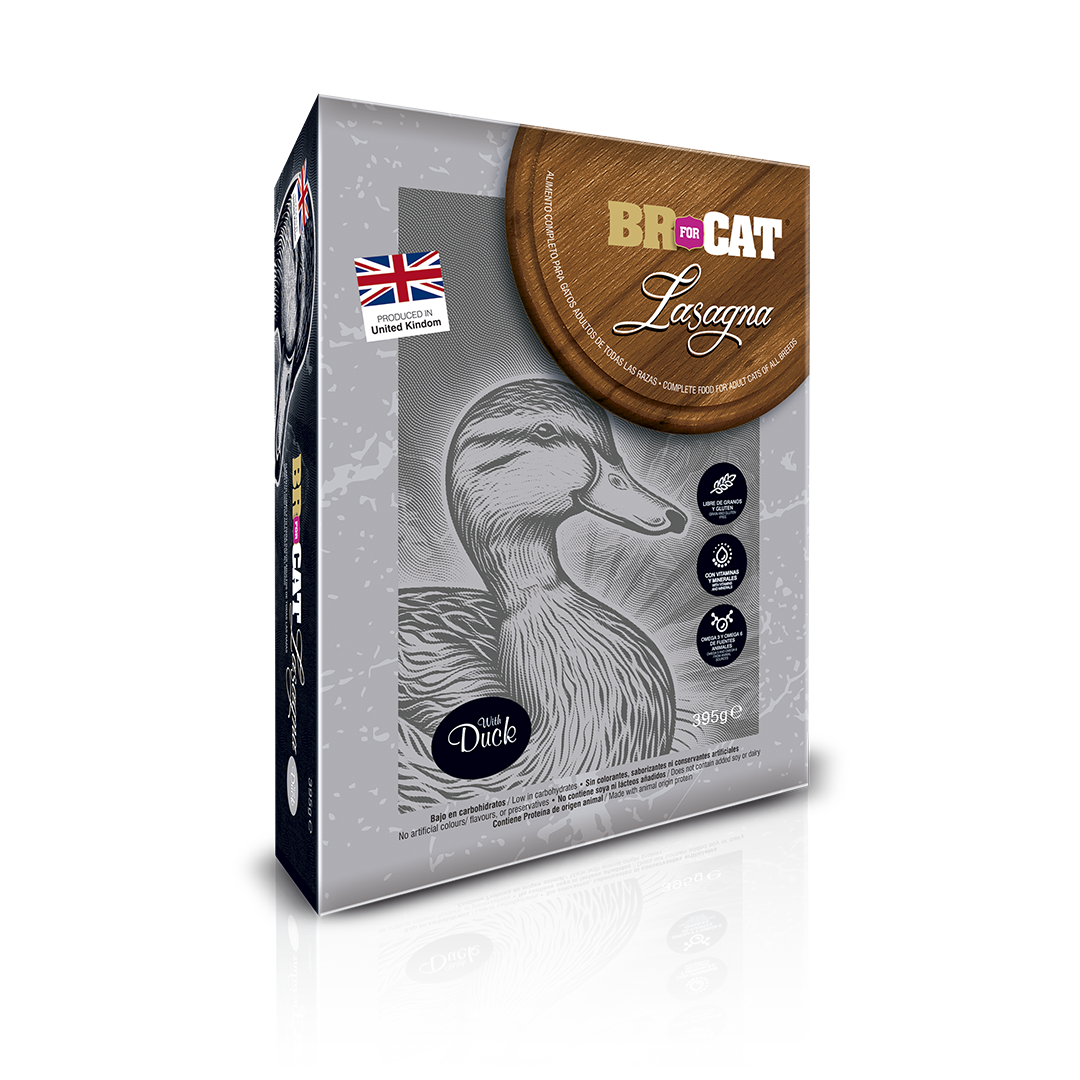 BR FOR CAT LASAGNA
