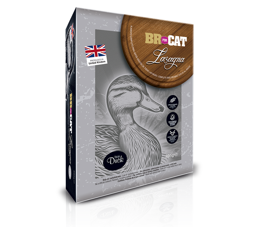 BR FOR CAT LASAGNA