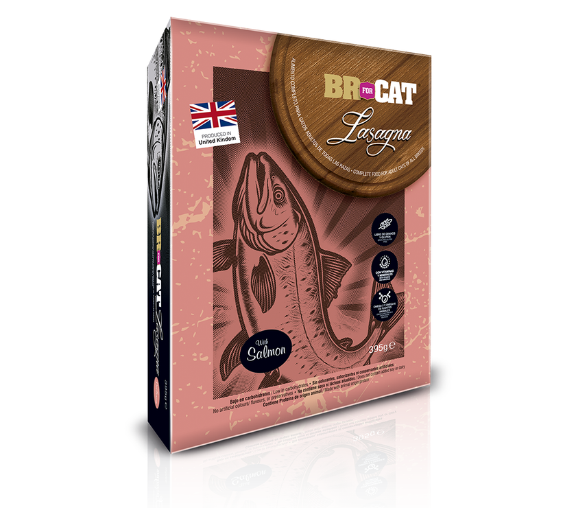 BR FOR CAT LASAGNA