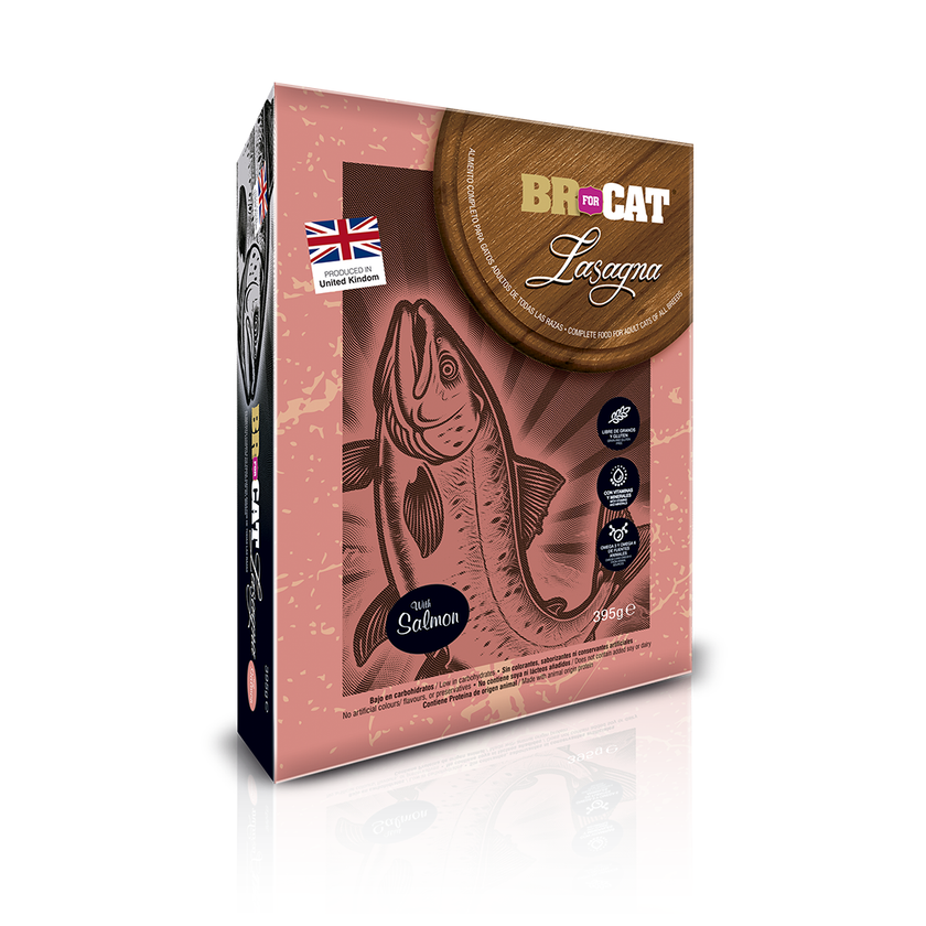 BR FOR CAT LASAGNA