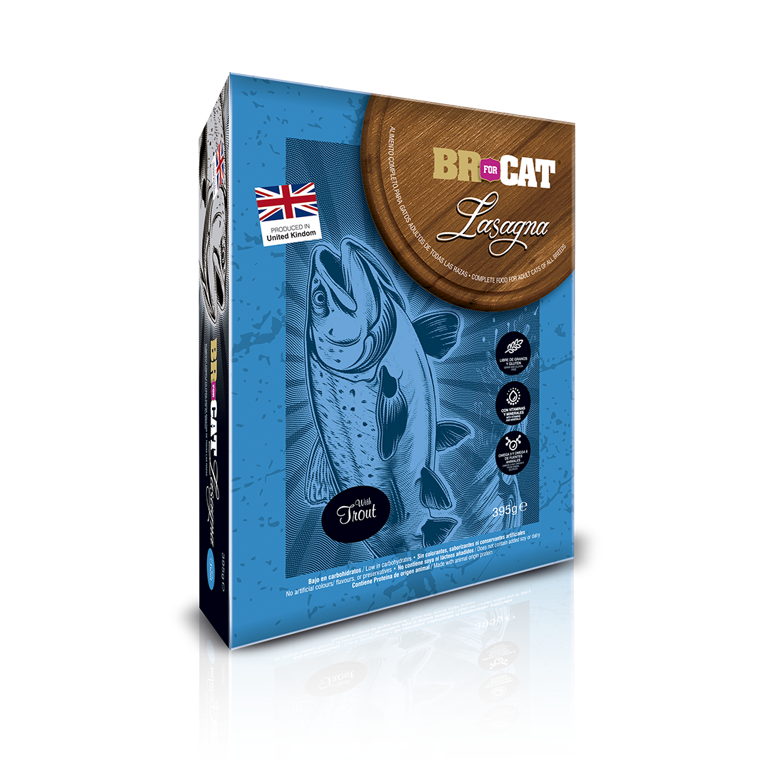 BR FOR CAT LASAGNA