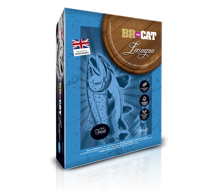 BR FOR CAT LASAGNA