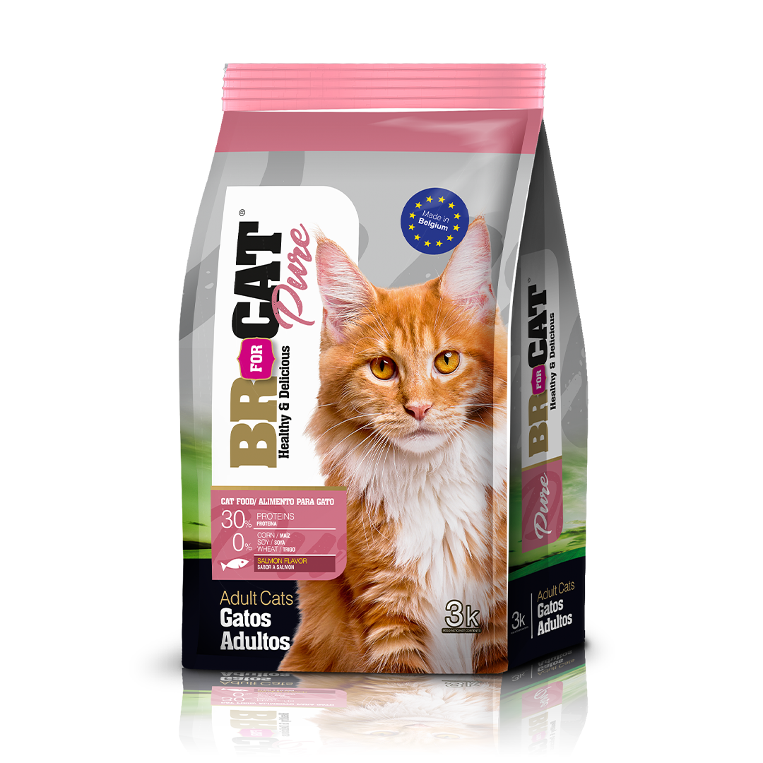 BR® FOR CATS PURE – ADULTOS SABOR SALMÓN