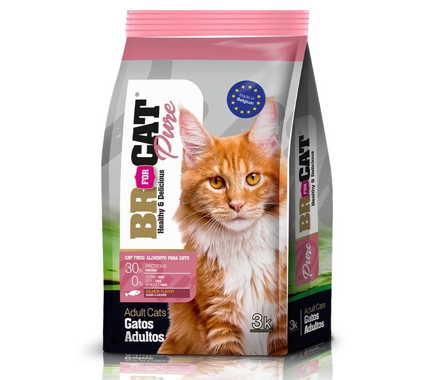 BR® FOR CATS PURE – ADULTOS SABOR SALMÓN