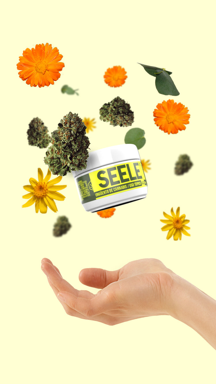 UNGUENTO SEELE 30g